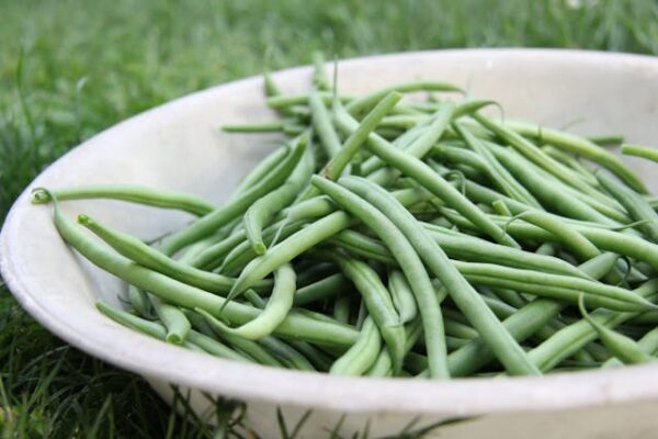 Beans - பீன்ஸ்