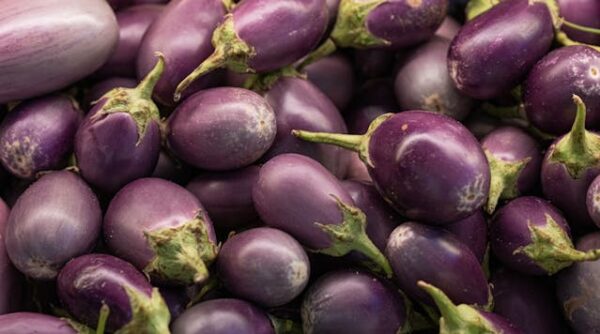Brinjal - Kathrica - கத்திரிக்காய்