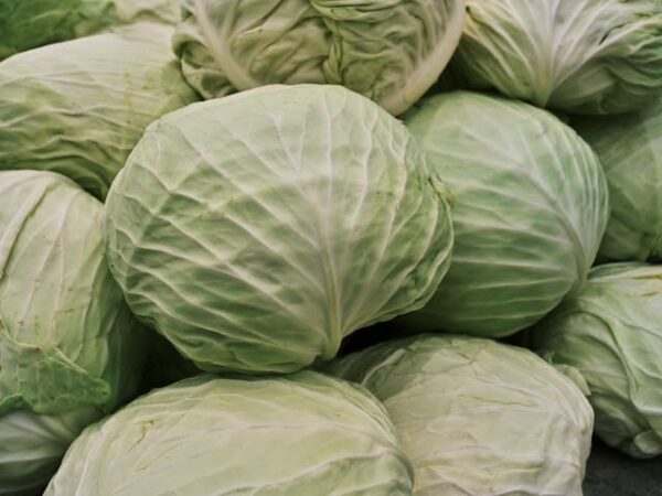Cabbage - Muttaicoss -  முட்டைக்கோஸ் - Image 2