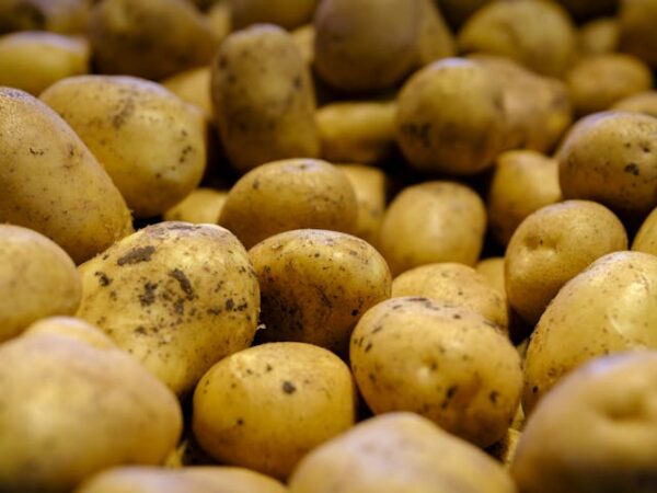 Potato - Urulai Kizangu - உருளைக்கிழங்கு - Image 2