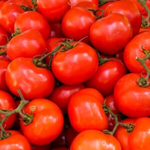 Tomato - Thakkali - தக்காளி