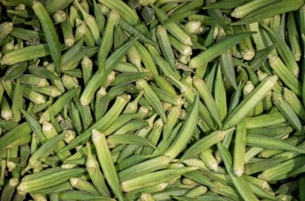Ladies Finger - Venderkaai - வெண்டைக்காய் - Image 2