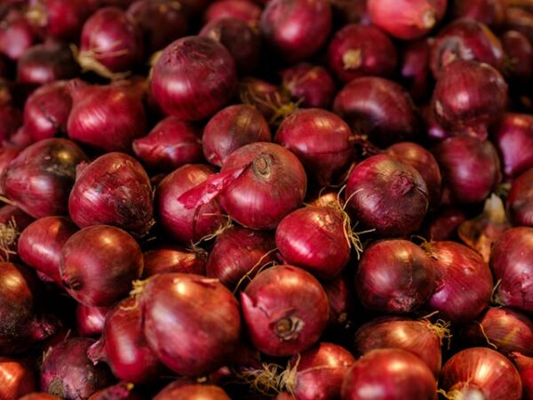 Onion - Vengayam - வெங்காயம்