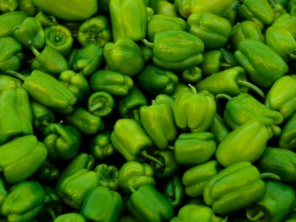 Capsicum - kudai millagai - குடைமிளகாய்