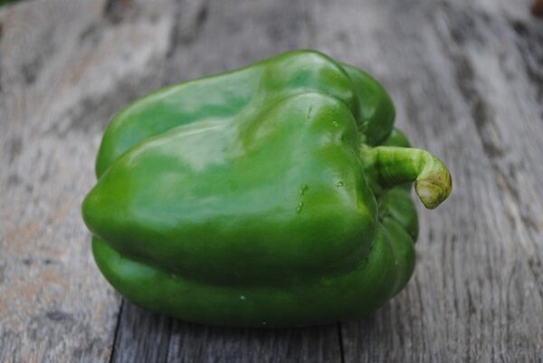 Capsicum - kudai millagai - குடைமிளகாய் - Image 3