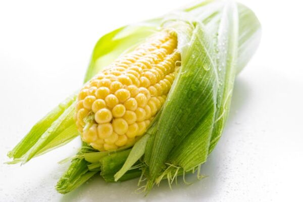 Corn - Makka cholam - மக்காச்சோளம் - Image 3
