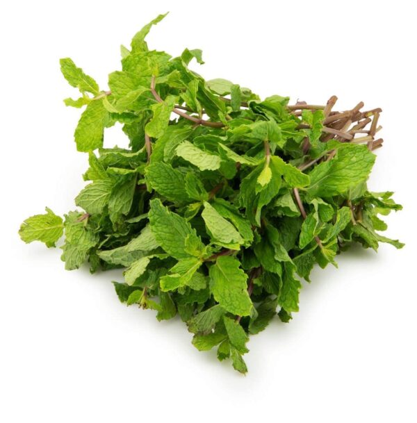 Mint Leaves - Puthina - புதினா