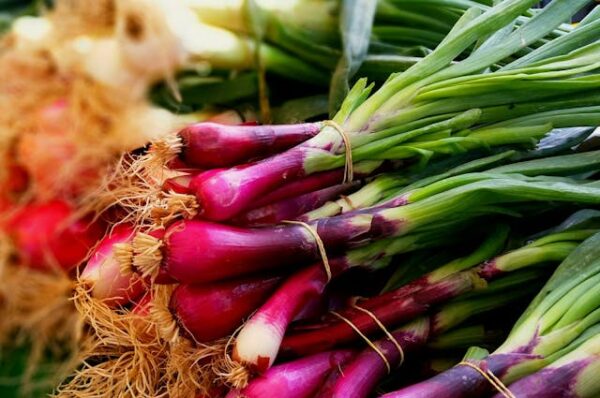 Spring Onion - Vengaya thal - வெங்காயத்தாள் - Image 3