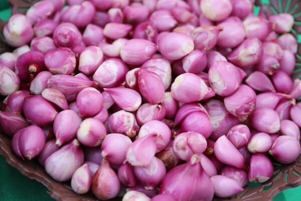 Shallot (Pearl Onion) - Very Small Onion - சிறிய வெங்காயம்