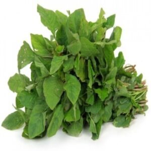 spleen amaranth arai keerai அரைக்கீரை