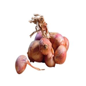 Shallot (Pearl Onion) | Small Onion