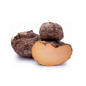 Elephant Yam | Karunai kizhangu