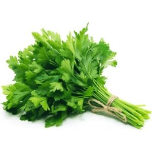 Coriander Leaves | Kothamali