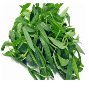 Alternanthera Sessilis | Ponnanganni Keerai